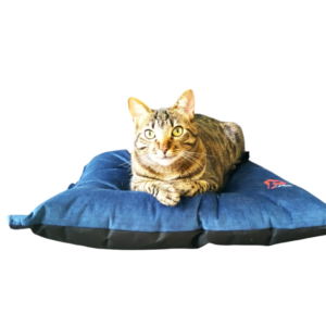 Almohadón LongBasic para mascotas - Línea Esencial ConSentido Mascotas