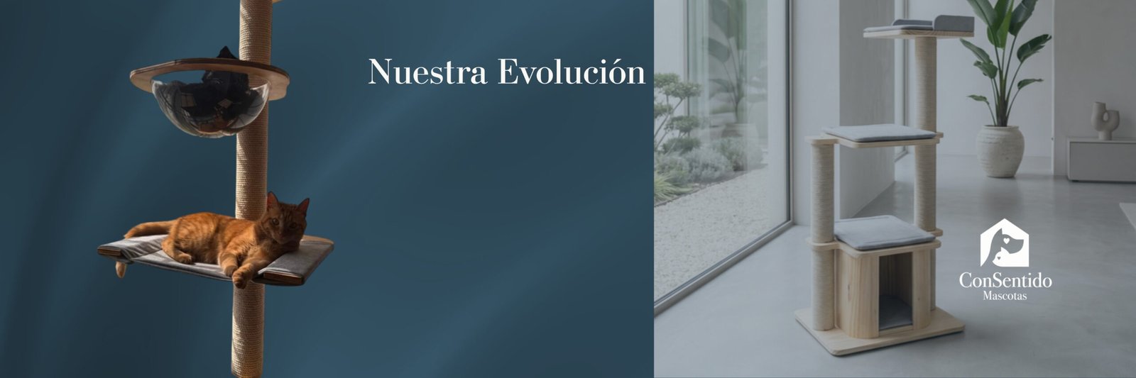 Nuestra Evolución - ConSentido Mascotas