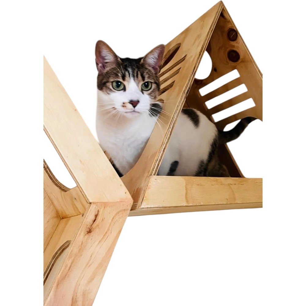 Detalle de un módulo hexagonal del Combo Astutos, muebles de pared para gatos