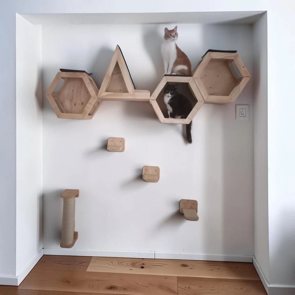 Muebles de pared para gatos Combo Astutos, vista frontal completa