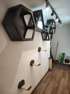 Muebles de pared para gatos Combo Astutos instalados en un pasillo del hogar
