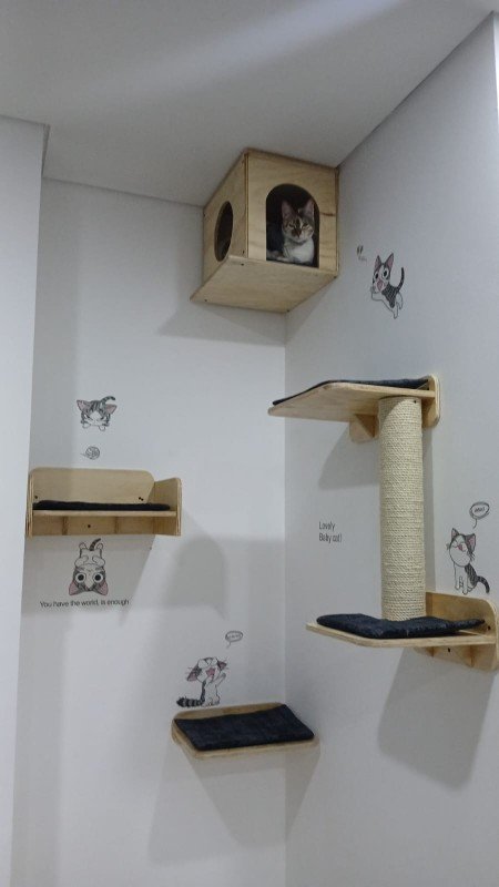 Vista lateral del Combo Vigorosos, gimnasio para gatos en madera de pino