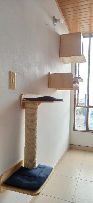 Gimnasio para gatos en madera Combo Vigorosos instalado en un espacio del hogar