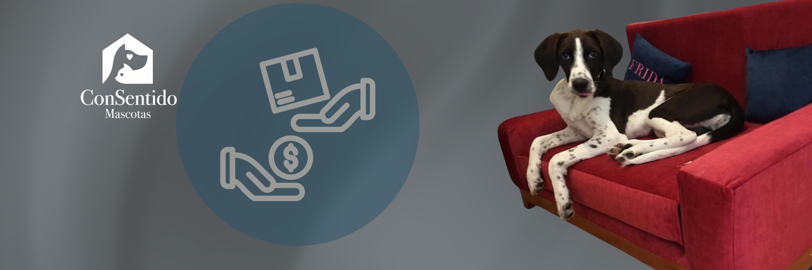 Política de Devoluciones y Garantías - ConSentido Mascotas