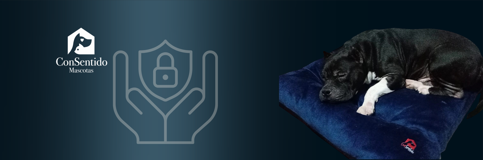 Política de Privacidad - ConSentido Mascotas
