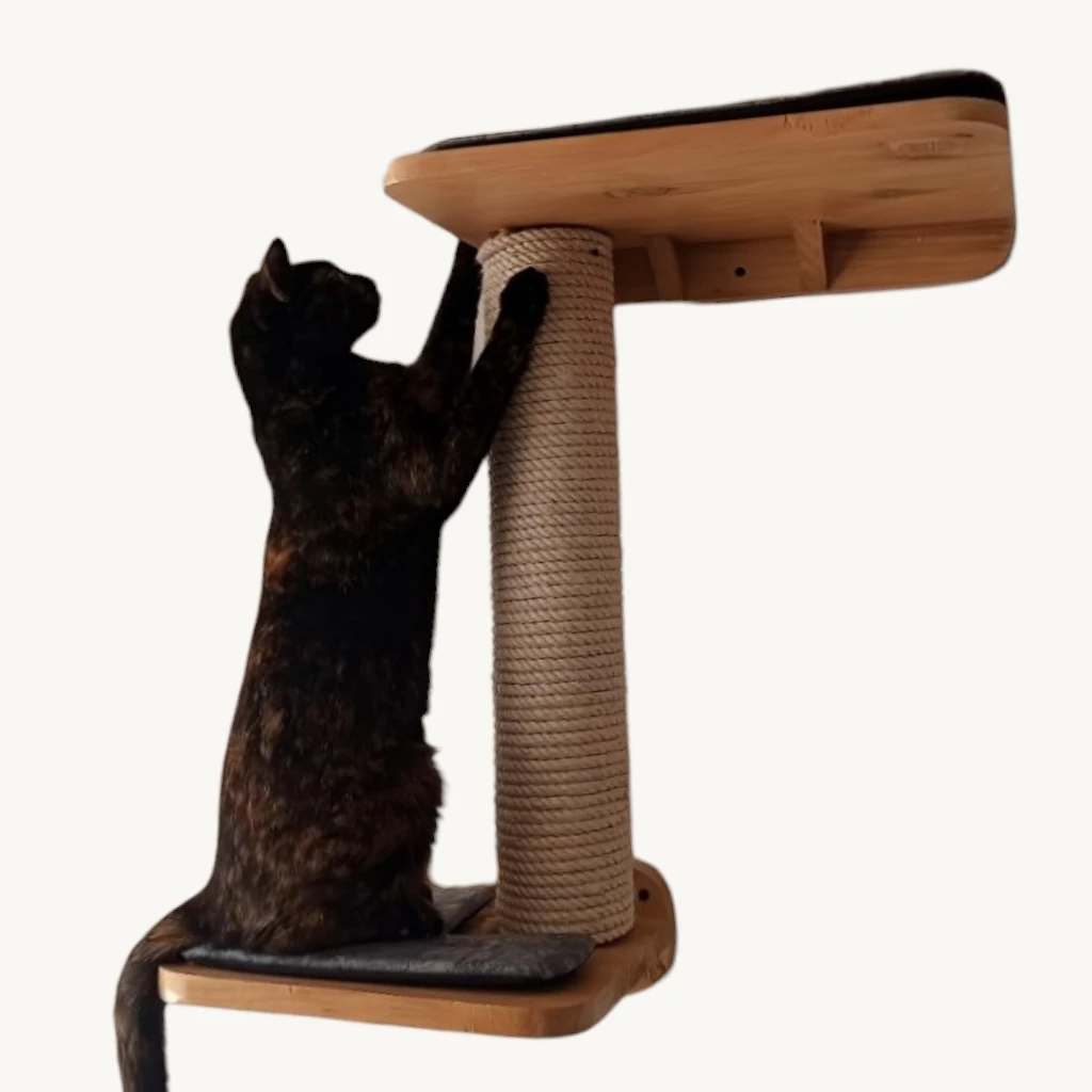 Repisa rascador para gatos — Repisa Vértice, Colección Entorno ConSentido Mascotas
