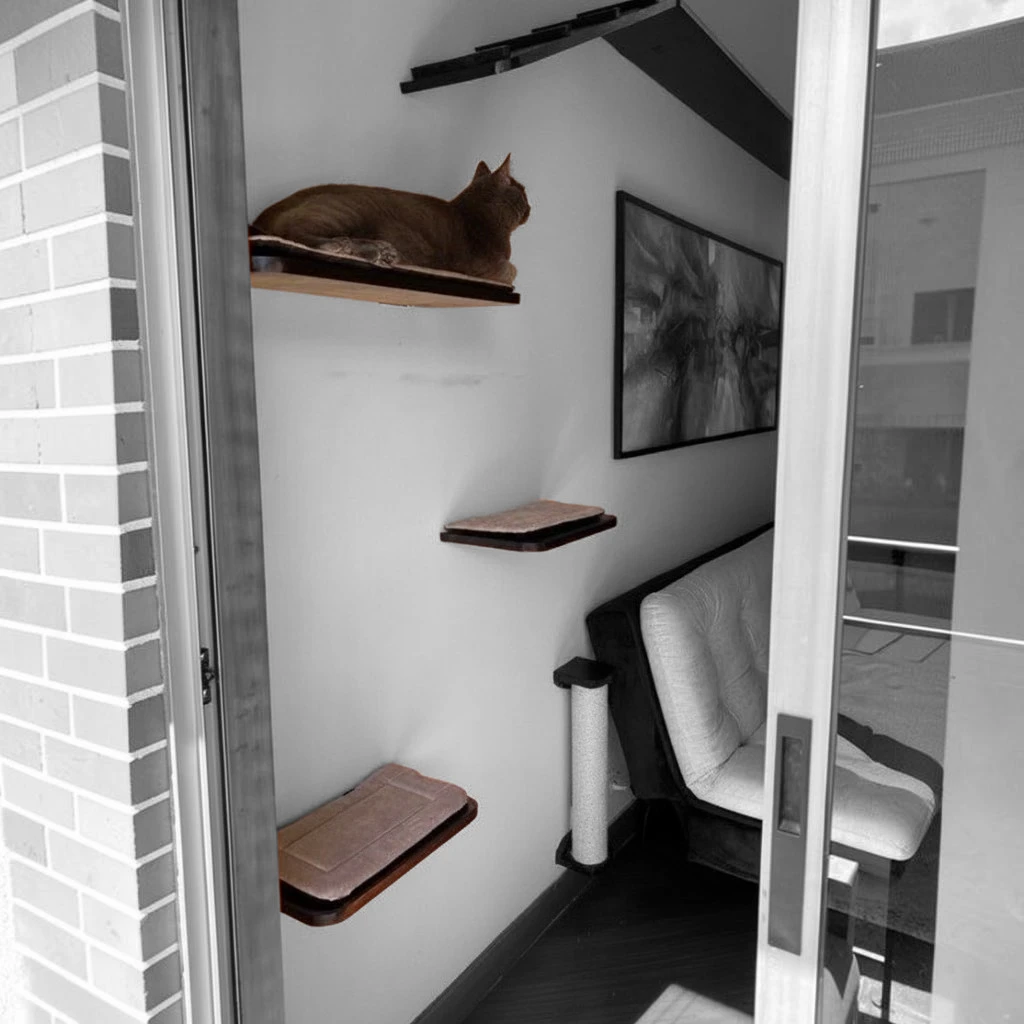 Gato descansando en las repisas de pared flotantes ConSentido Mascotas