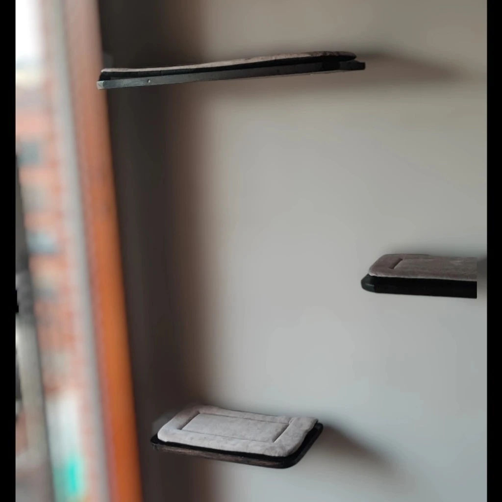 Repisas de pared flotantes para gatos - vista en profundidad con fondo desenfocado