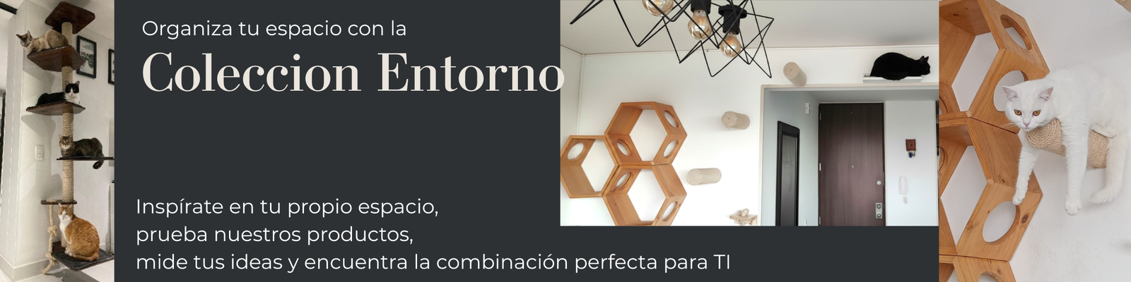 Organiza tu Entorno - ConSentido Mascotas